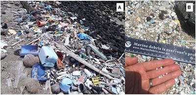 Toward the Integrated Marine Debris Observing System